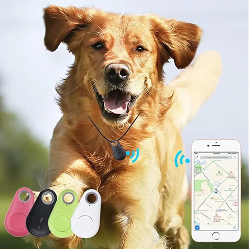 Pet Supplies