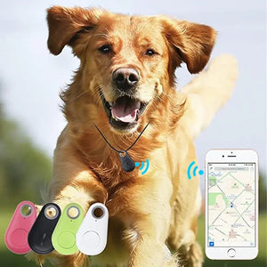 Pet Supplies
