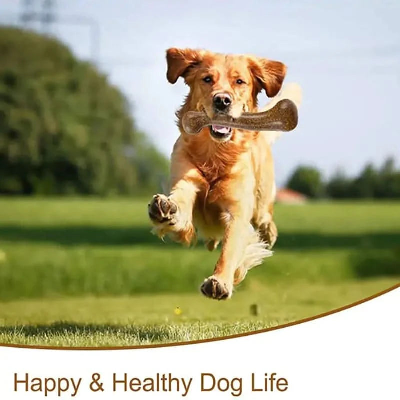 Jouets à mâcher en forme d'os résistants pour chiens