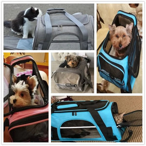 Sac de transport pour animaux de compagnie