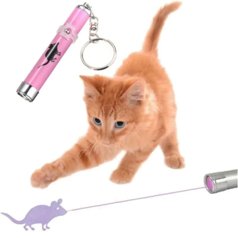 Pointeur laser LED portable en forme de chat amusant