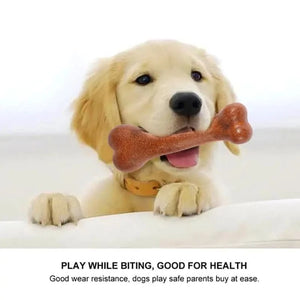 Jouets à mâcher en forme d'os résistants pour chiens