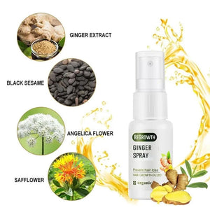 Gingembre liquide pour la croissance des cheveux et la nutrition du cuir chevelu
