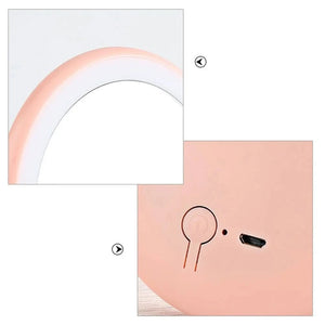 Miroir de maquillage de poche à LED